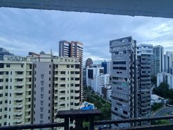 Cairnhill Plaza (D9), Apartment #490138511